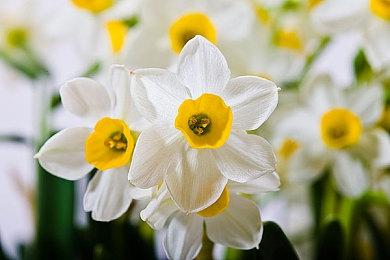 343确认《光环：无限》首发时有自己的反作弊技术